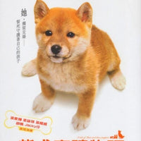 A Tale of Mari and Three Puppies 2004 (Japanese Movie) DVD ENGLISH SUBTITLES (REGION 3)