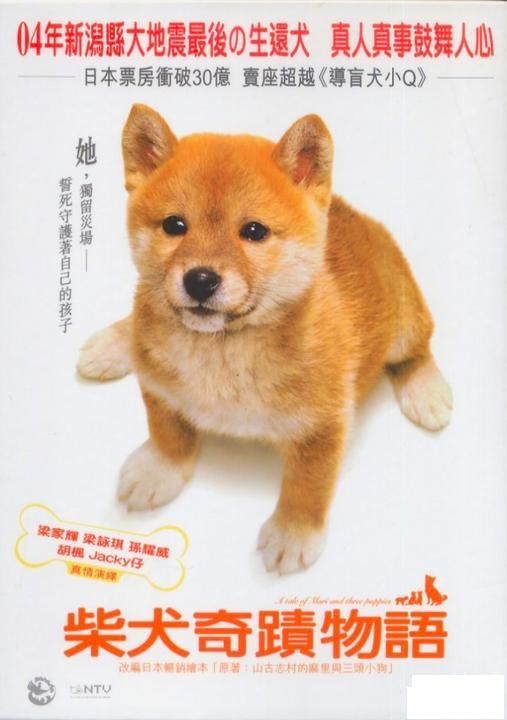 A Tale of Mari and Three Puppies 2004 (Japanese Movie) DVD ENGLISH SUBTITLES (REGION 3)