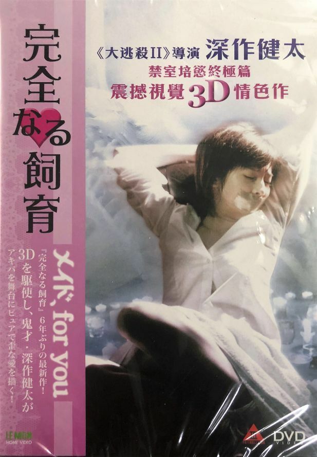 PERFECT EDUCATION A MAID FOR YOU 2010 JAPANESE MOVIE DVD